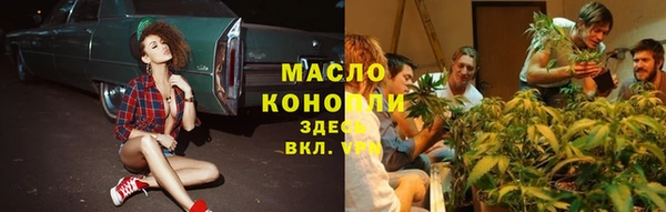 гашик Ельня