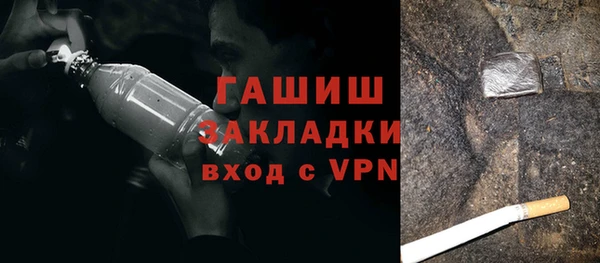 гашик Ельня
