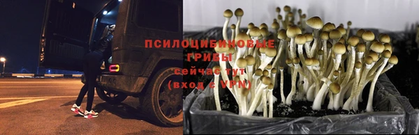 гидропоника Елизово