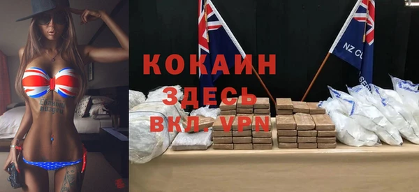 гашик Ельня