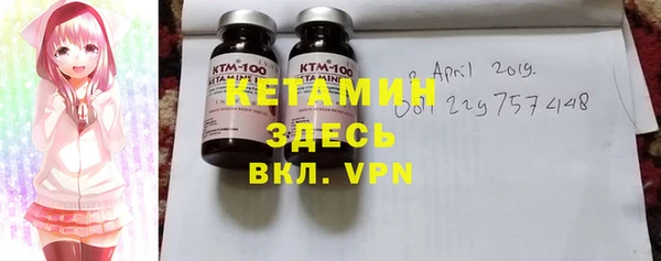 гашик Ельня