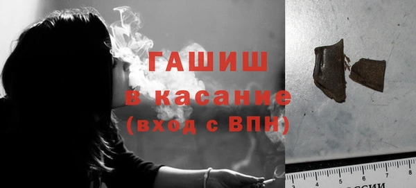 гашик Ельня