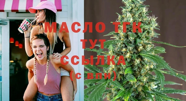 гашик Ельня