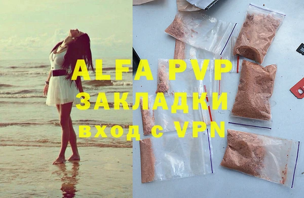 гашик Ельня