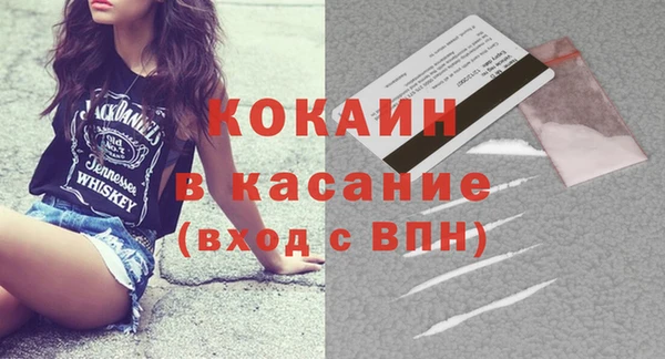 гашик Ельня
