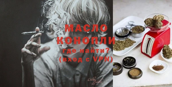 гашик Ельня