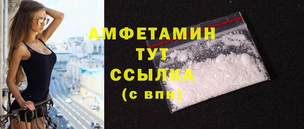 гашик Ельня