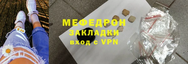гашик Ельня
