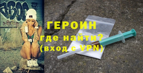 гашик Ельня
