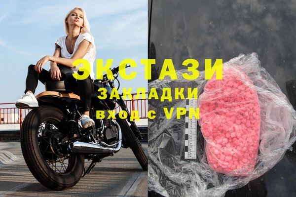 гашик Ельня